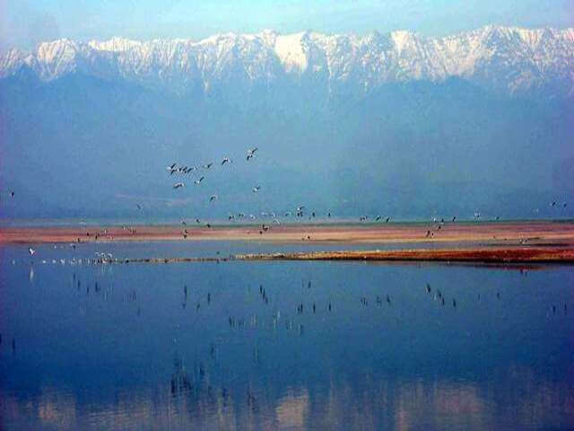 Research Initiatives