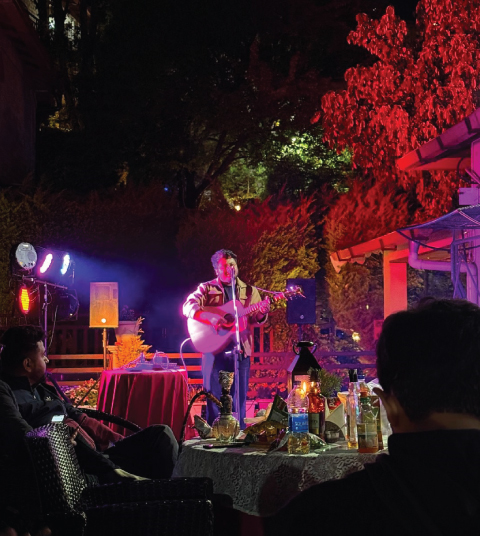 Corporate entertainment and live musical evenings at Ojaswi Resort Mukteshwar, perfect for evening networking and gala events.