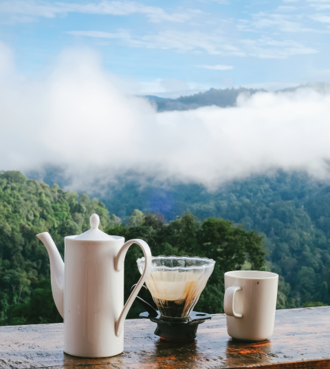 Hilltop hi tea at Ojaswi Resort in Mukteshwar with warm snacks and soft pastries enjoyed in the gentle afternoon light overlooking the hills