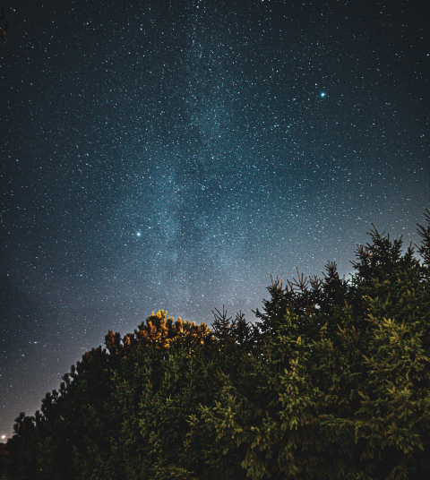 Stargazing experience above Ojaswi Resort rooftops in Mukteshwar with a clear night sky and Himalayan forest surroundings